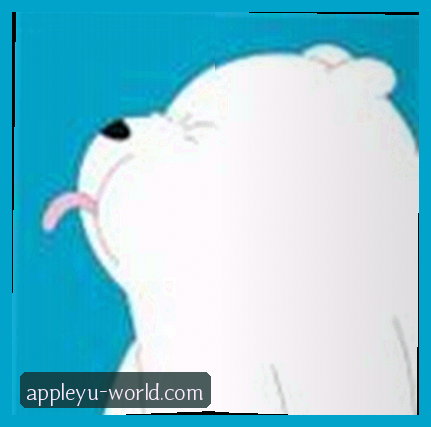 王磊