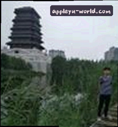 赵洋