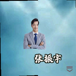 张振宇